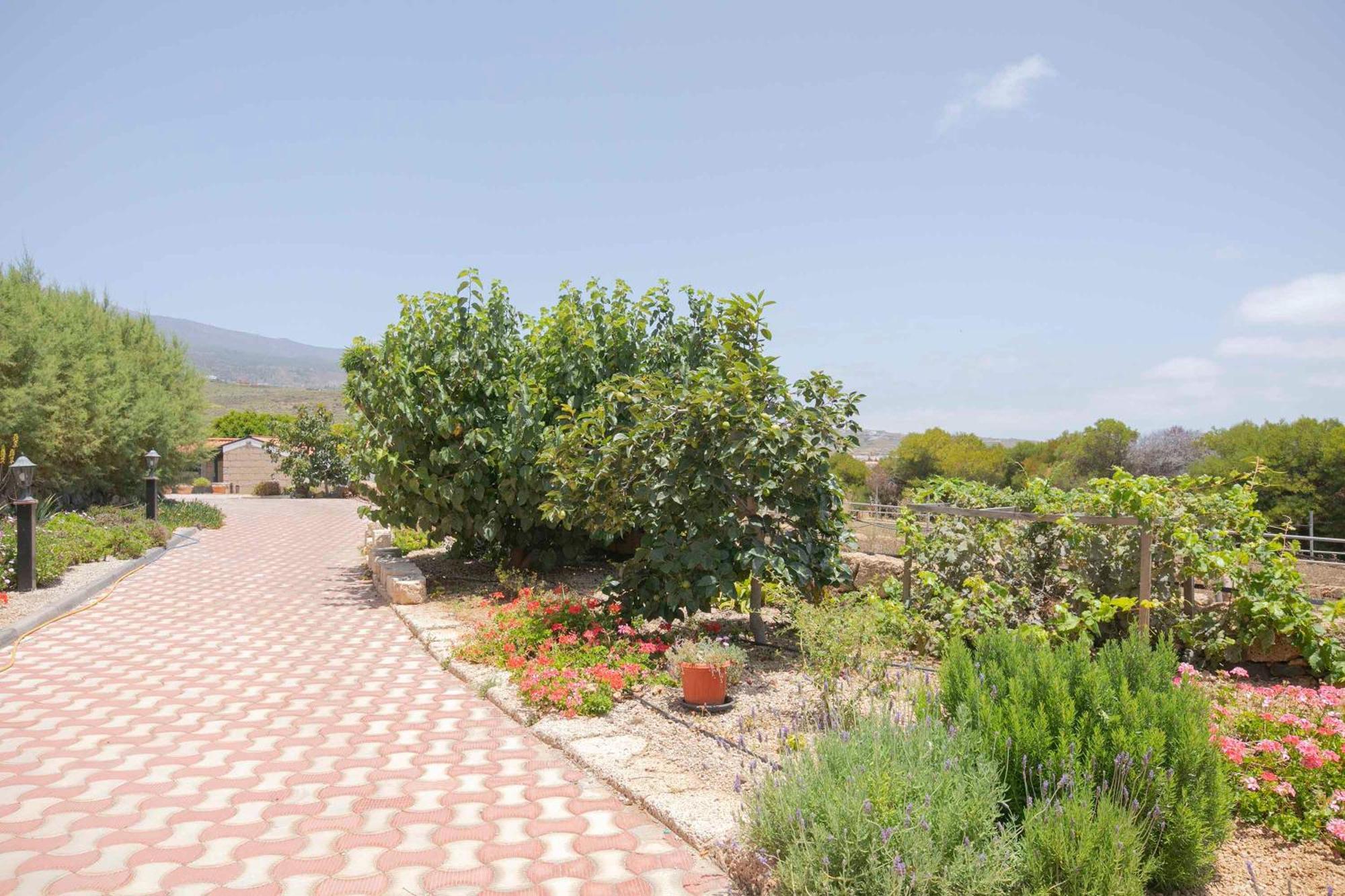 Casa Wayra Villa Granadilla De Abona Bagian luar foto