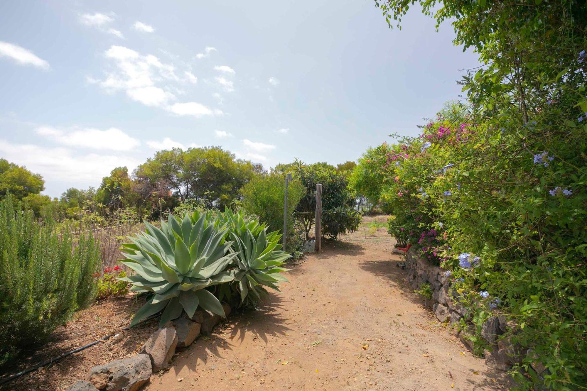 Casa Wayra Villa Granadilla De Abona Bagian luar foto